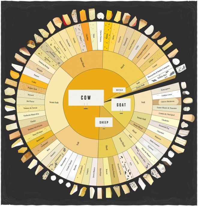 PopChartLab_Cheese-Large-660x688